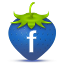 Facebook Strawberry Icon